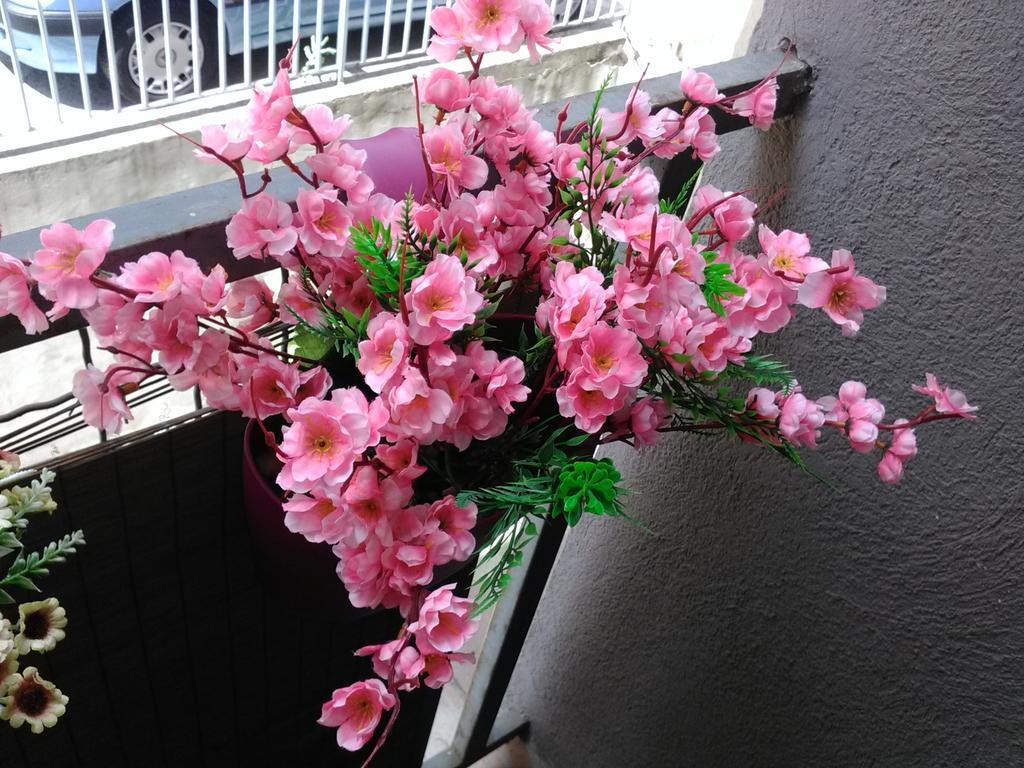 Keti 1 Apartment เบลเกรด ภายนอก รูปภาพ